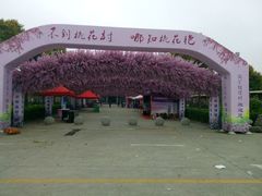 android_upload_pic-南汇桃花村