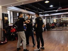 -温鉴良实用咏春拳