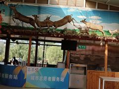 -北京鹿世界主题园