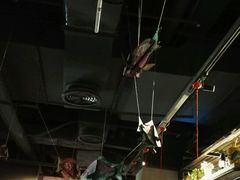大堂-探鱼·鲜青椒爽麻烤鱼(广州花都来又来店)