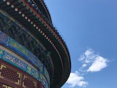 -老回回饺子馆(海洋馆店)