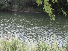 -东钱湖旅游度假区