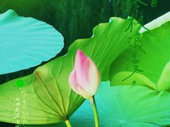 -云居湖