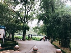 -四川大学(华西校区)