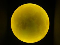 -深圳独角兽星空艺术馆