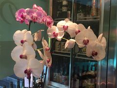 -希望日本料理(保利香槟花园店)