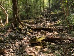 -白云源风景区