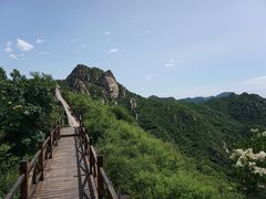 -大岭沟猕猴桃谷风景区