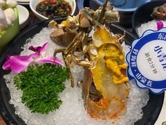 鲜活小青龙-东海怡品海鲜豆捞(舟宿夜江店)
