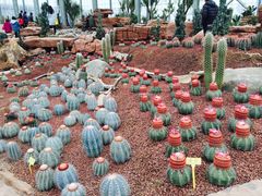 -南通洲际绿博园