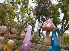 -苏州乐园森林水世界