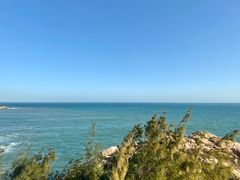 -广东惠东海龟国家级自然保护区