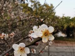 -水濂山水库景点停车场