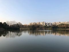 -新江湾城公园