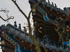 -梅花山(明孝陵内)