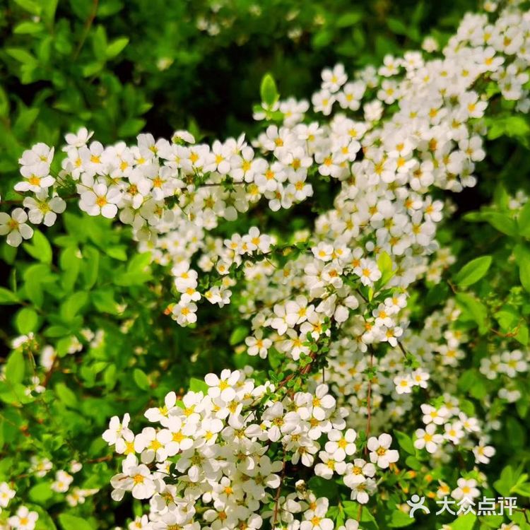 春日怎么能不踏青呢[加油]