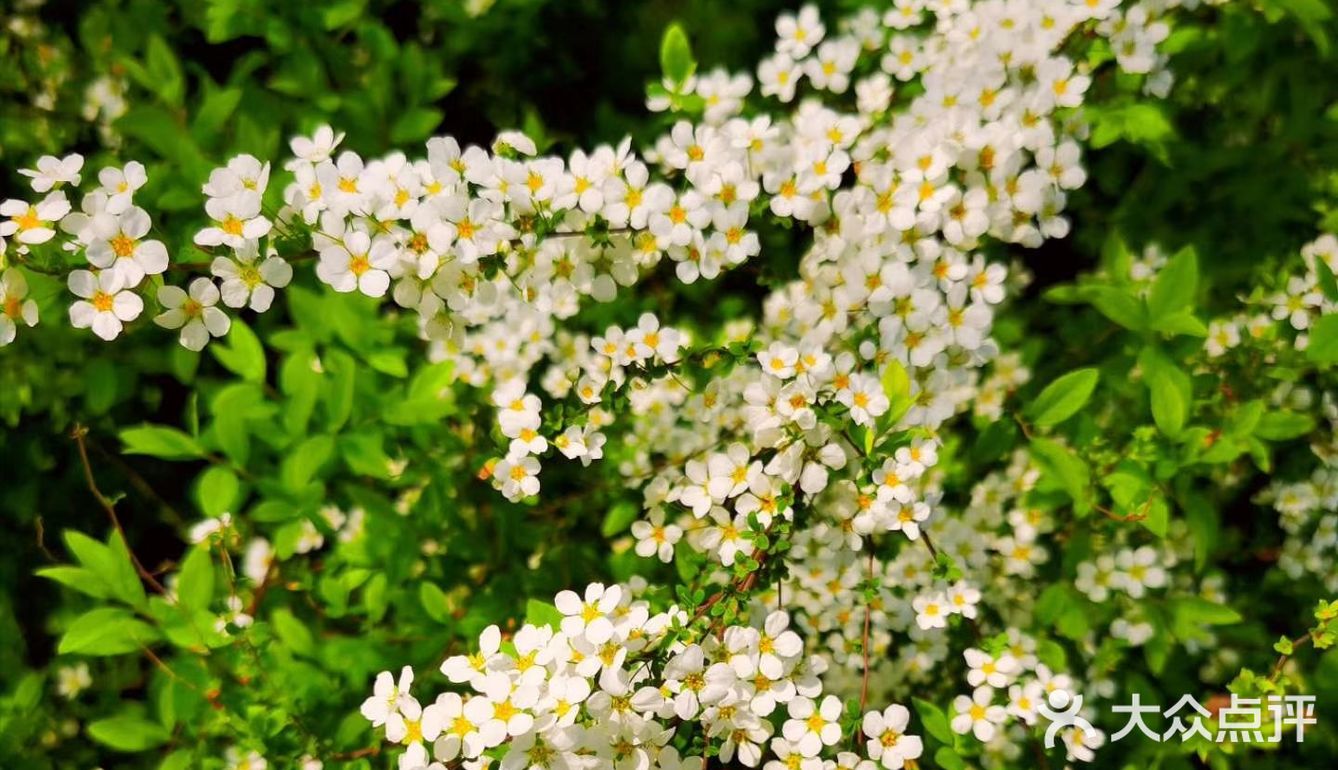 春日怎么能不踏青呢[加油]