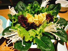-青瓷火锅料理(西单大悦城店)