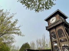 -永定河休闲森林公园