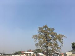 -良溪古村