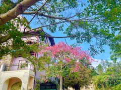 -深圳东部华侨城茵特拉根酒店
