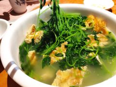 益母草-园林美食城·本土农家菜(杨和镇店)