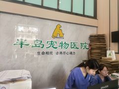 -半岛宠物医院24小时(科华中路店)