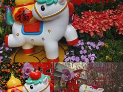 -越秀西湖花市(广州城市广场花卉店)