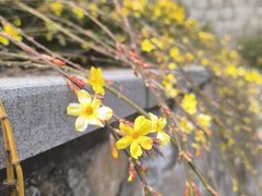 -北岭山森林公园