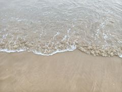 -日照海滨国家森林公园