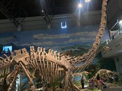 -自贡恐龙博物馆
