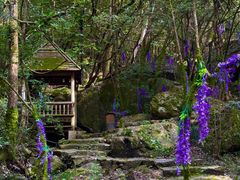 -岳西天峡风景区