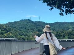 -银湖山郊野公园-相思林