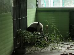 -石家庄市动物园