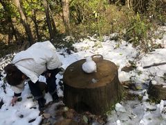 -洛阳白云山景区