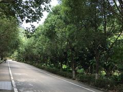 -清溪森林公园