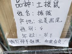 -乐宠宠物店(世纪金源店)
