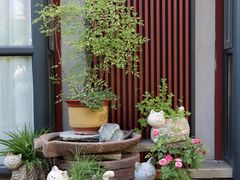 -唐猫庭院·千年陕菜(大唐不夜城店)