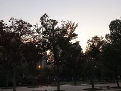 -新江湾城公园