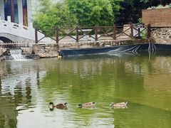 -荷塘味道(水长城店)