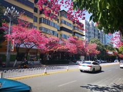 -昆明动物园