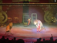 -珠海横琴长隆《卡卡虎奇遇记》