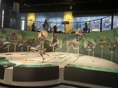 -国家自然博物馆