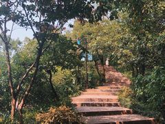 -杭州半山国家森林公园