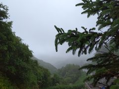 -秦岭风景区