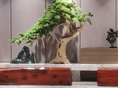 -青水瓦台汤泉(未央店)