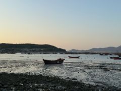 -春妮海味饭店·海景餐厅·海菜包子·大连海鲜