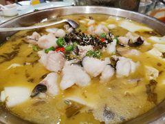 酸菜江团-粗茶淡饭•陕菜•家常菜