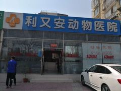 -利又安动物医院··老年病·猫科犬科·中兽医