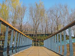-东郊湿地公园